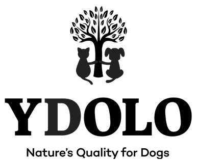 YDOLO